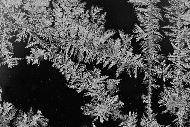 Cristaux de glace sur fond noir