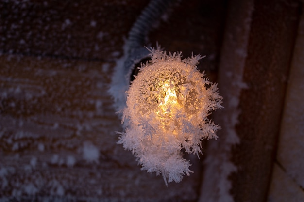 Cristaux de neige sur un mur en bois et une ampoule.