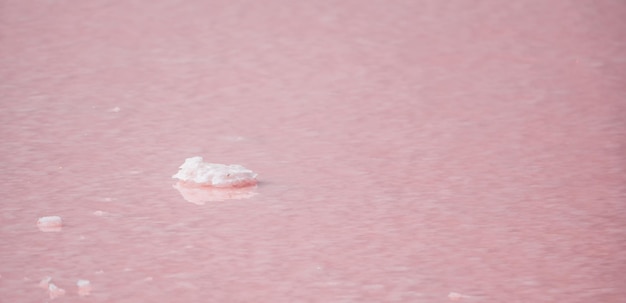 Cristaux de sel rose texture lac salé rose naturel extraction de sel lac rose extrêmement salé coloré par