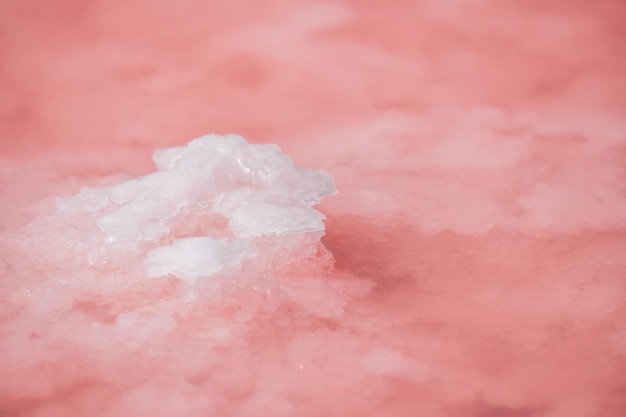 Cristaux de sel rose Texture naturelle du lac salé rose Extraction de sel Lac rose extrêmement salé coloré par des microalgues avec des dépôts de sel cristallin