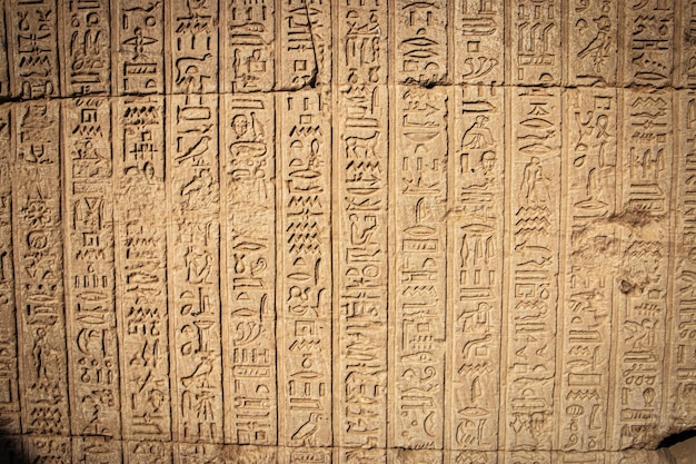 Écriture égyptienne antique, hiéroglyphes égyptiens, inscriptions murales