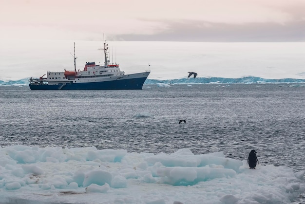 Croisière en bateau d'expédition dans le paysage antarctique de l'île Paulet près de la péninsule antarctique