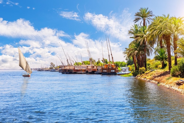 Croisière sur le Nil paysage riverbank près de Louxor Haute Egypte