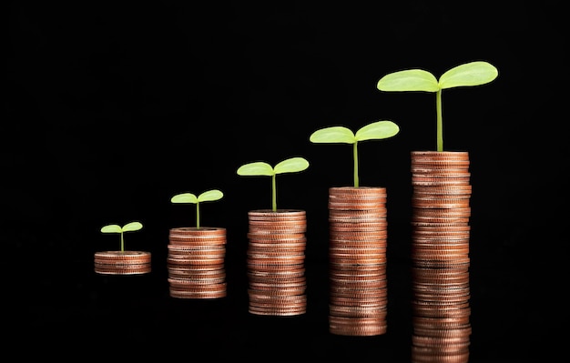 Croissance des pièces empilées avec plante sur fond noir, concept d'économie d'argent et de croissance des bénéfices d'investissement.