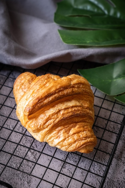 Croissant sur grille avec fond sombre