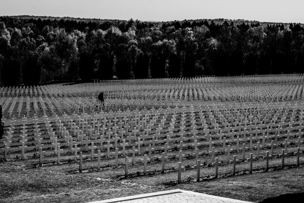 Photo des croix avec des arbres en arrière-plan