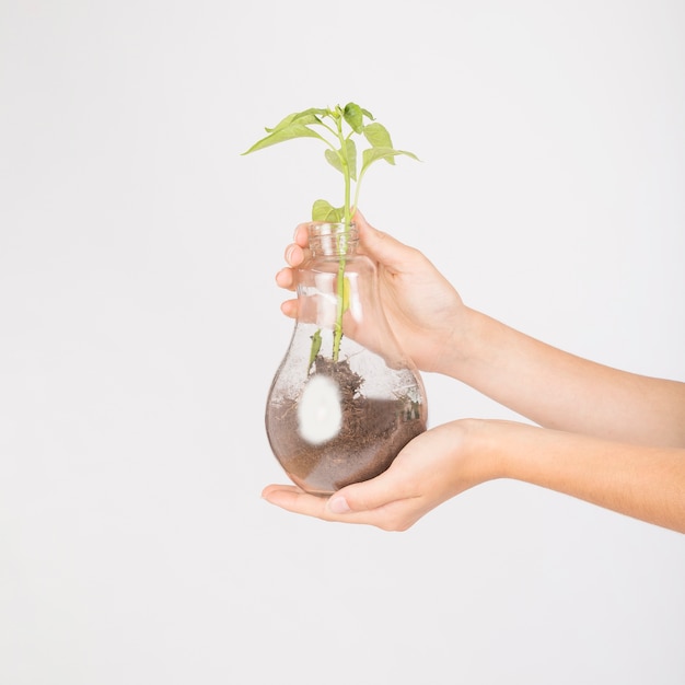 Crop femme mains tenant une bouteille de verre