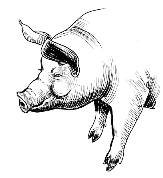 Un croquis d'un cochon portant des lunettes