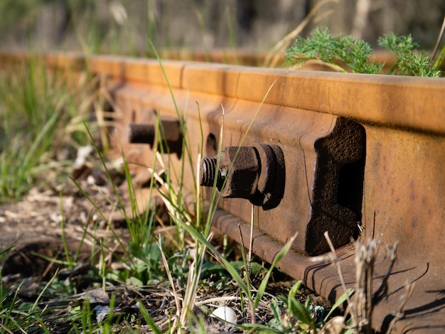 Écrous rouillés fixant des voies de chemin de fer dans l'herbe