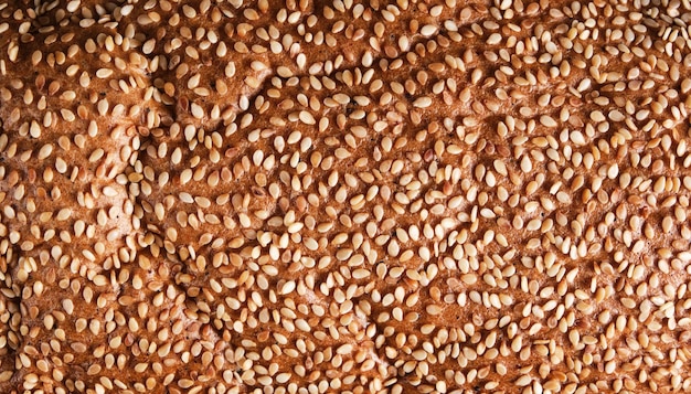 Photo croûte de pain frais rouge saupoudré de graines de sésame.