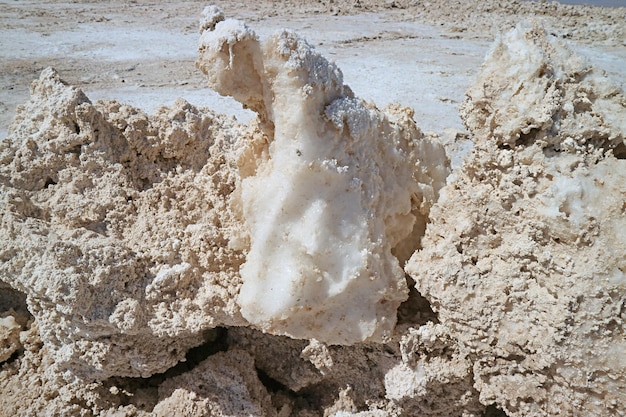 Croûte de sel à la surface du salar d'Atacama, le plus grand salar chilien du nord du Chili