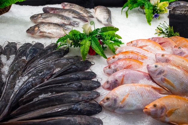 Crucian de mer de poisson frais et poisson-chat sur glace dans le magasin Délicieux produit sain