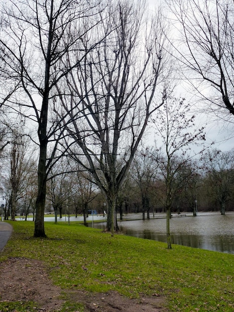 Crue printanière La rivière est sortie de son lit et s'est déversée entre les arbres du parc