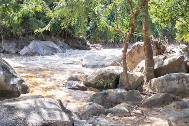 Les crues de la rivière coulent sur la montagne