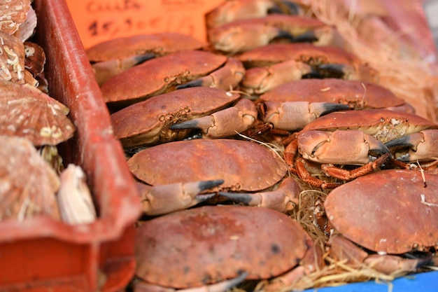 Photo crus de crabes au marché aux poissons