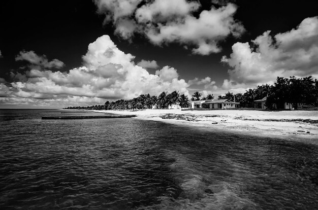 CUBA, plage Maria La Gorda, cocotiers - NUMÉRISATION DE FILM