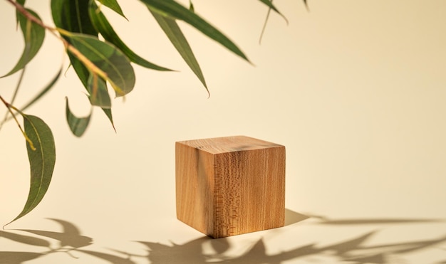 Photo cube en bois vide avec des ombres et des feuilles vertes sur un fond jaune