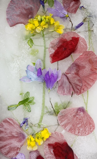 Cube de glace avec différentes fleurs d'été sur l'herbe verte en été.