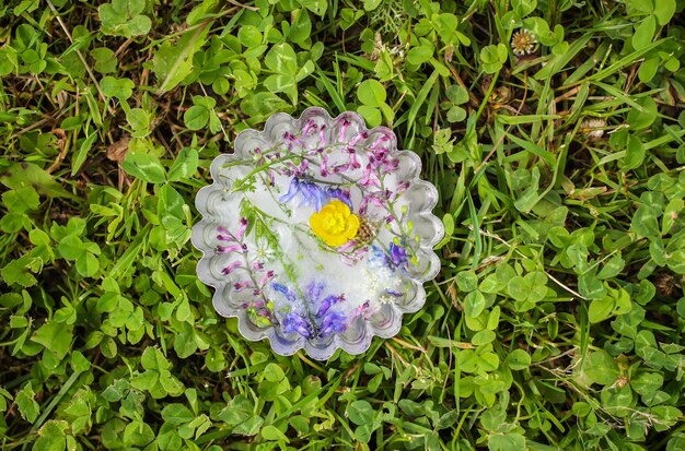 Cube de glace avec différentes fleurs d'été sur l'herbe verte en été.