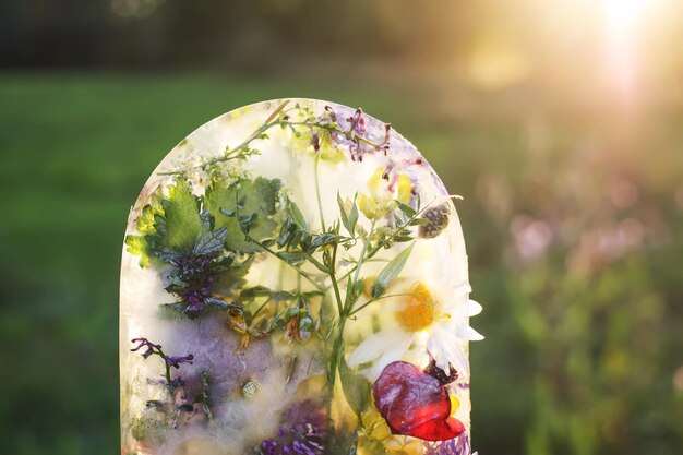 Cube de glace avec des fleurs sur l'herbe verte en été.