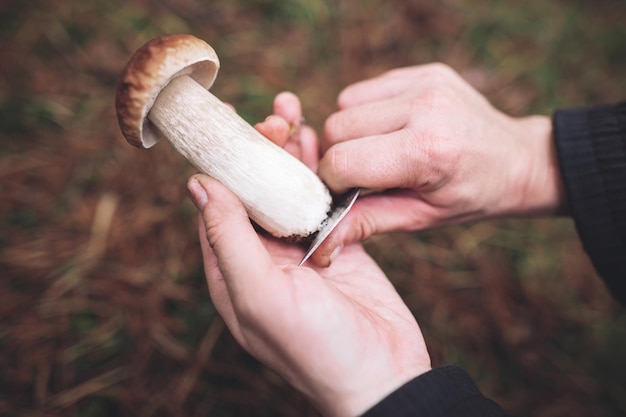 Un cueilleur de champignons nettoie un beau champignon comestible trouvé dans la forêt avec un couteau dans ses mains