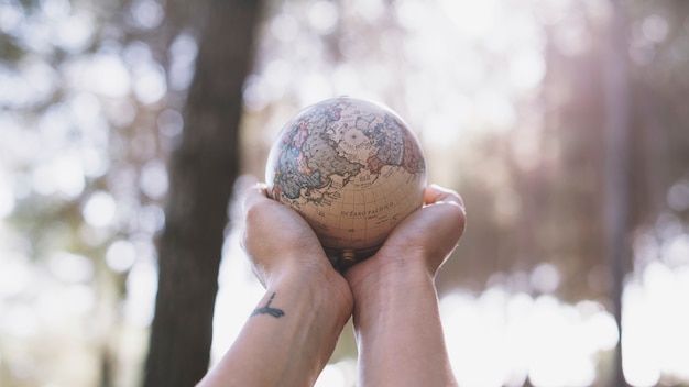 Photo cueillir les mains avec globe en forêt