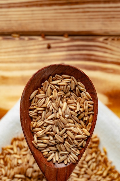 Cuillère en bois avec grain d'avoine cru non cuit