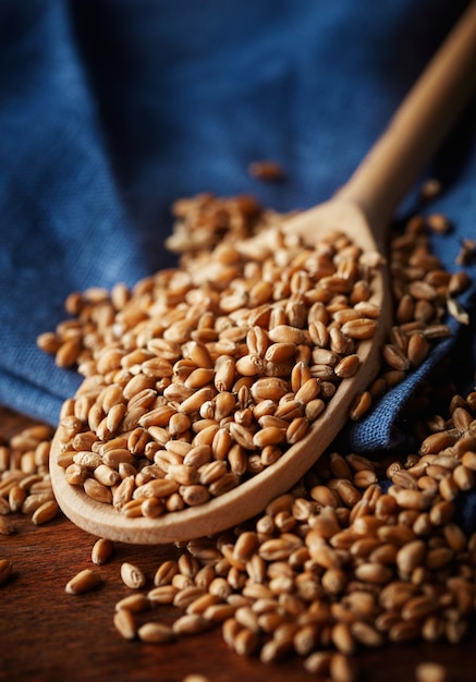 Cuillère en bois avec grains de blé entier