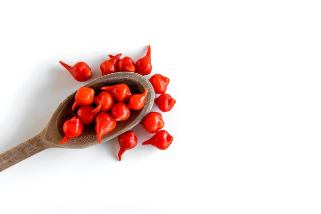 Cuillère en bois avec Piments Biquinho Poivron Brésilien Capsicum Chinense isolé sur fond blanc