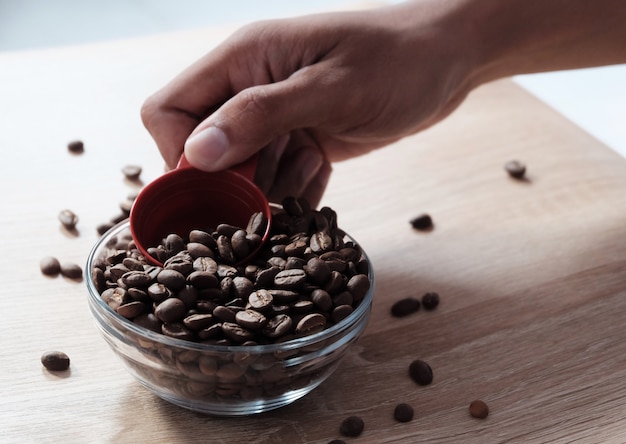 Cuillère à café de grains de café