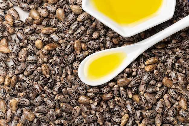 Cuillère à graines d'huile de ricin et vue de dessus de bol blanc