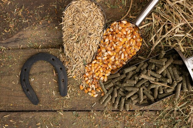 Photo cuillères à pelle avec ingrédients alimentaires pour chevaux