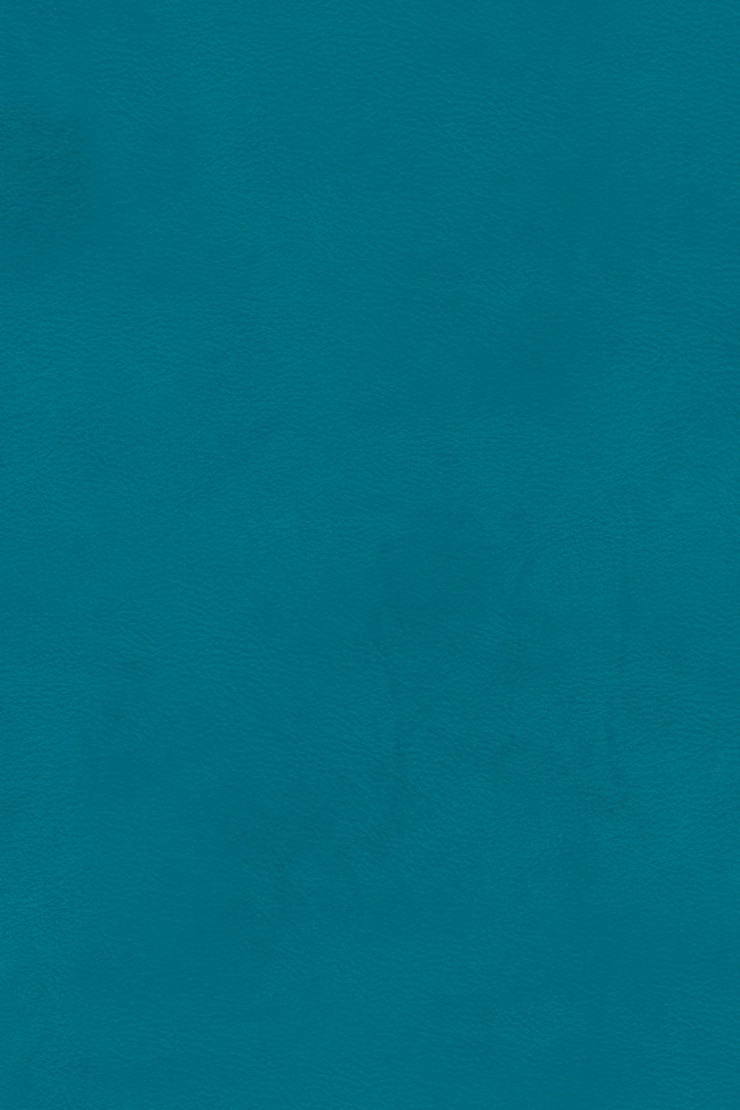 Photo le cuir bleu 07