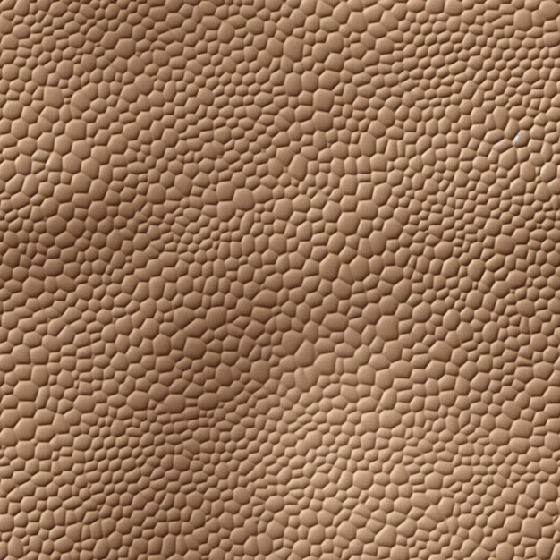 Un cuir avec un motif de textures texturées.