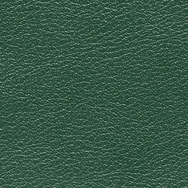 Un cuir vert avec un motif de vagues sur la surface.