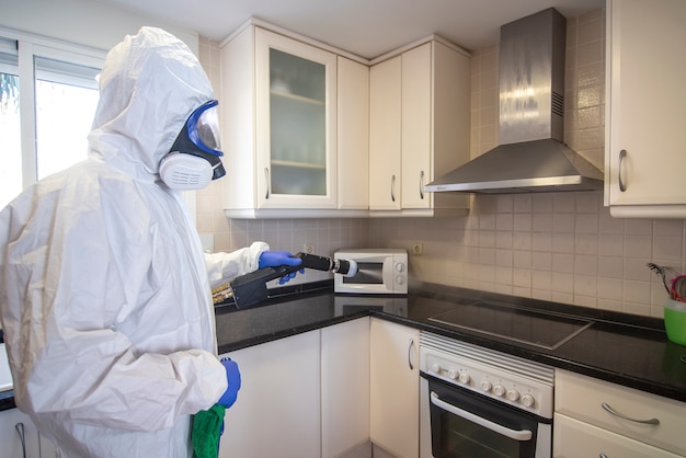 Cuisine désinfectante professionnelle avec pistolet à microparticules pour la prévention des virus