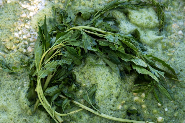 Cuisine mexicaine pozole vert avec du maïs, du piment de tomate verte et de l'epazote