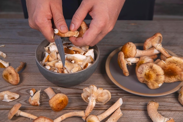 Cuisiner des champignons comestibles Plats végétariens Aliments riches en protéines et en fibres