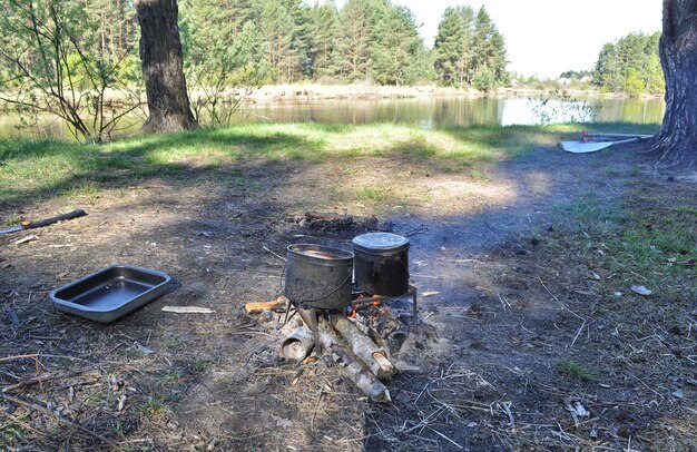 Cuisiner sur feu de camp