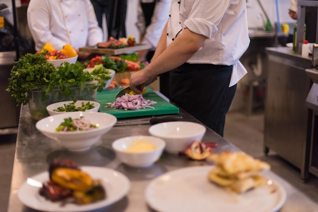 Cuisiniers et chefs professionnels de l'équipe préparant le repas dans la cuisine animée d'un hôtel ou d'un restaurant