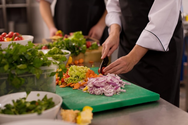 Cuisiniers et chefs professionnels de l'équipe préparant le repas dans la cuisine animée d'un hôtel ou d'un restaurant