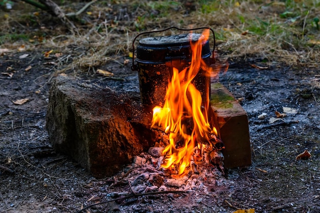 Cuisson des aliments dans une bouilloire sur un feu de joie dans la forêt