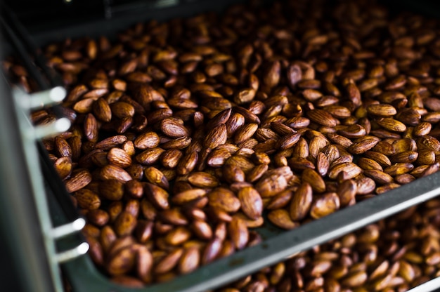 Cuisson des amandes dans un four industriel