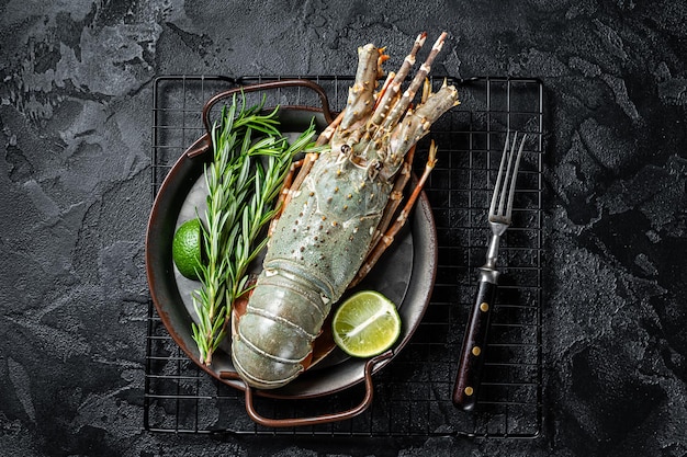 Cuisson Langouste ou écrevisse de mer aux herbes et épices Fond noir Vue de dessus