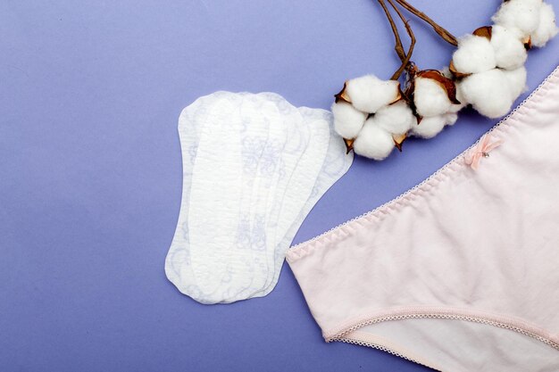 Culottes pour femmes avec coton et protège-slips hygiène et concept de soins de santé pour femmes