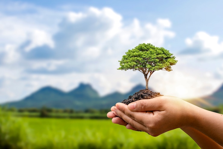 Photo cultiver des arbres entre des mains humaines et concept de protection de l'environnement de fond de forêt verte floue maintenir un monde écologiquement propre cartes du jour de la terre.