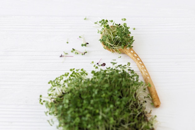 Photo cultiver des micro-verts à la maison pousses de basilic frais sur tapis de lin et cuillère sur bois blanc sprouter