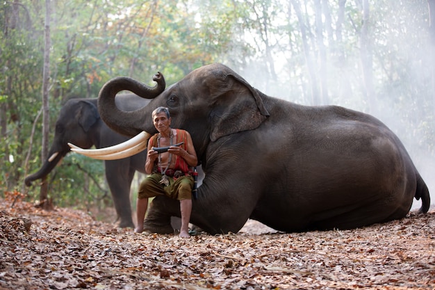 Culture asiatique des agriculteurs et des éléphants