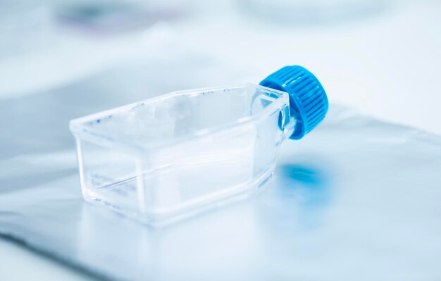 culture cellulaire au laboratoire de génétique et de culture cellulaire de bioingénierie