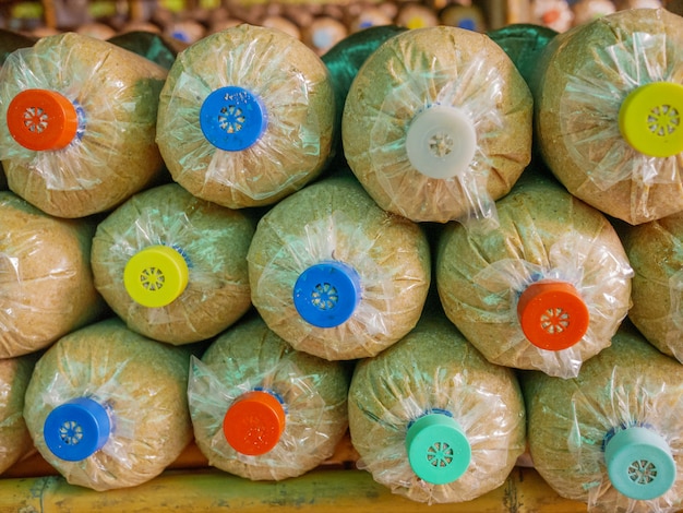 Photo culture de champignons dans une ferme de champignons